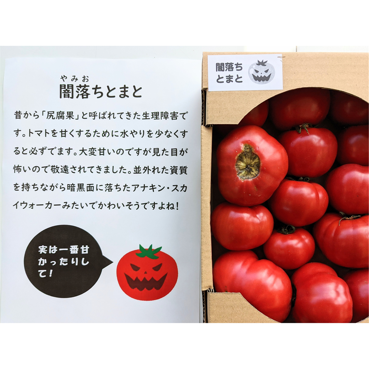 日本ネーミング大賞